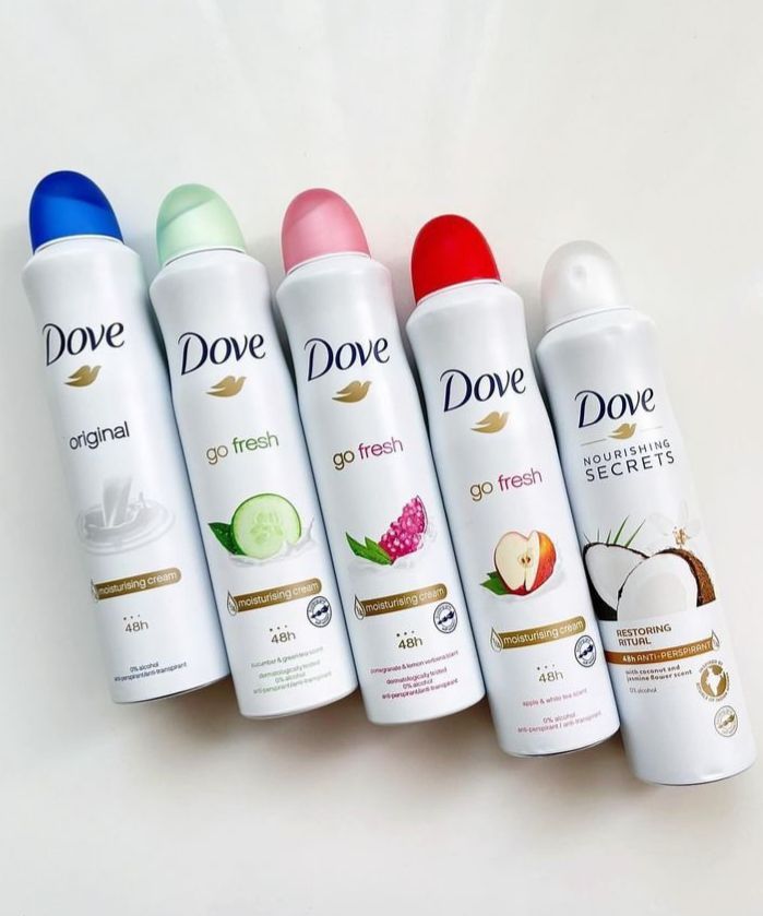 WhatsApp Image 2026-02-19 at 17.50.38